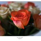 Blumen zum Muttertag